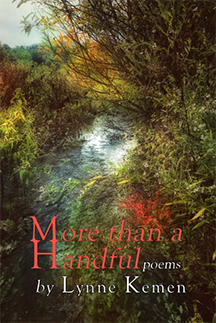 Cover of More than a Handful