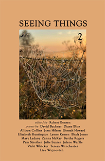 Cover of Seeing Things 2